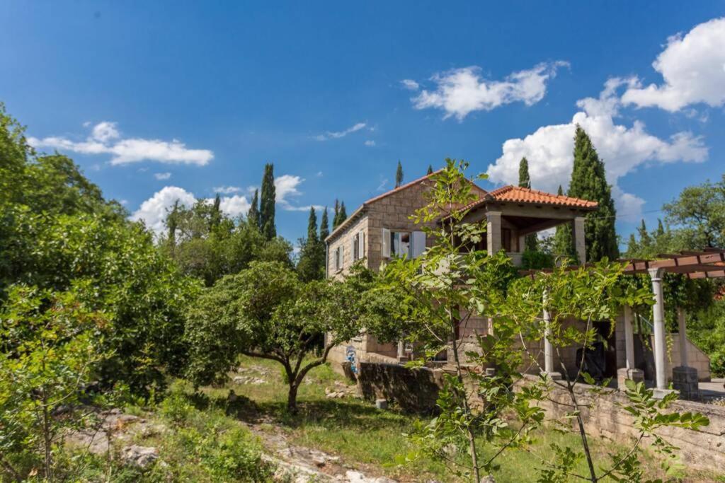 Sleep & Fly Cottage Чилипи Экстерьер фото